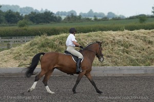 ISIS Dressage Challenge 2008